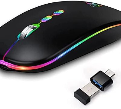 HOTLIFE LED Wireless Mouse, Slim Rechargeable Silent Portable USB Optical 2.4G Wireless Bluetooth Two Mode Computer Mice with USB Receiver and Type C Adapter (Black)